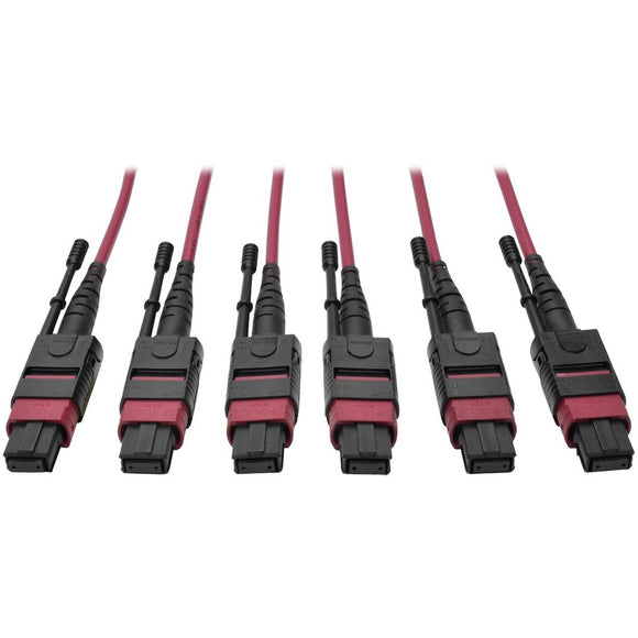 Tripp Lite Mtp/mpo Multimode Base-8 Trunk Cable, 24-strand, 40/100 Gbe, 40/100gbase-sr4, Om